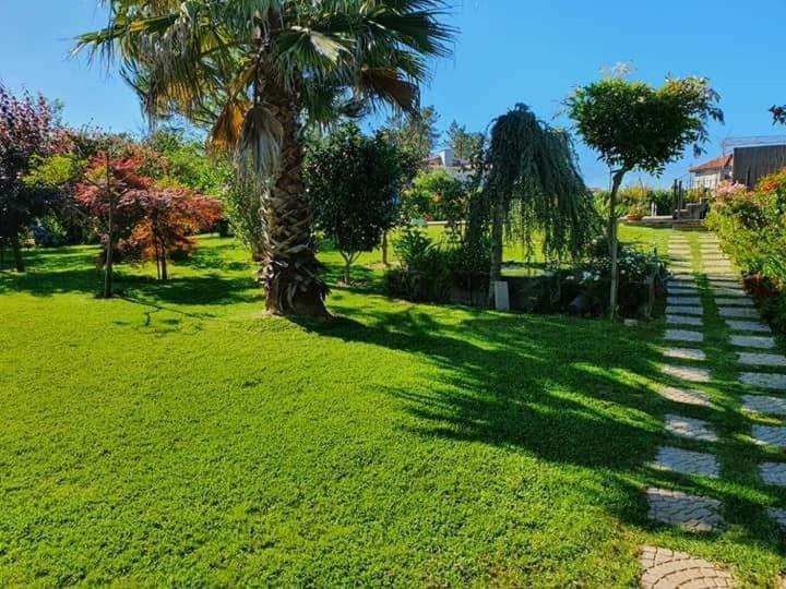 Villa Casa Brandao Póvoa de Varzim Dış mekan fotoğraf